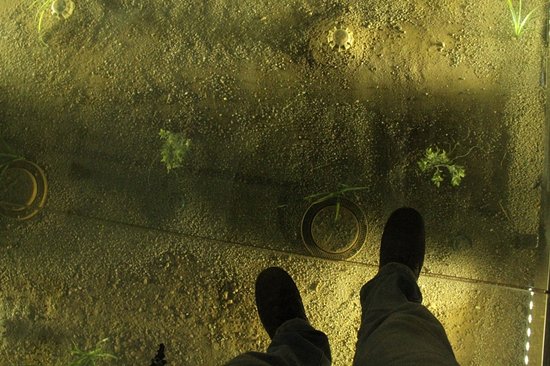 The Ashuraee Martyr of Zahir Battalion