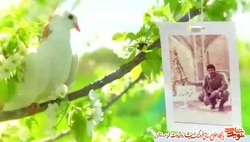 فتوکلیپ/ وصیتنامه شهید سرلشکر &laquo;مصطفی پژوهنده&raquo;