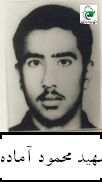 آماده، محمود