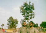  علی رضا آملی 